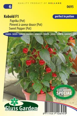 Sweet pepper Kobold F1 (Capsicum) 8 seeds